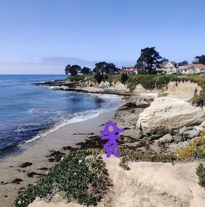 Meet your Posher, Holiday